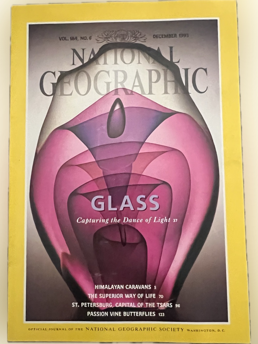 🍄 Vintage National Geographic Magazine Vol. 184 #6 December 1993